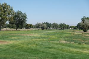Silver Sage 1st
